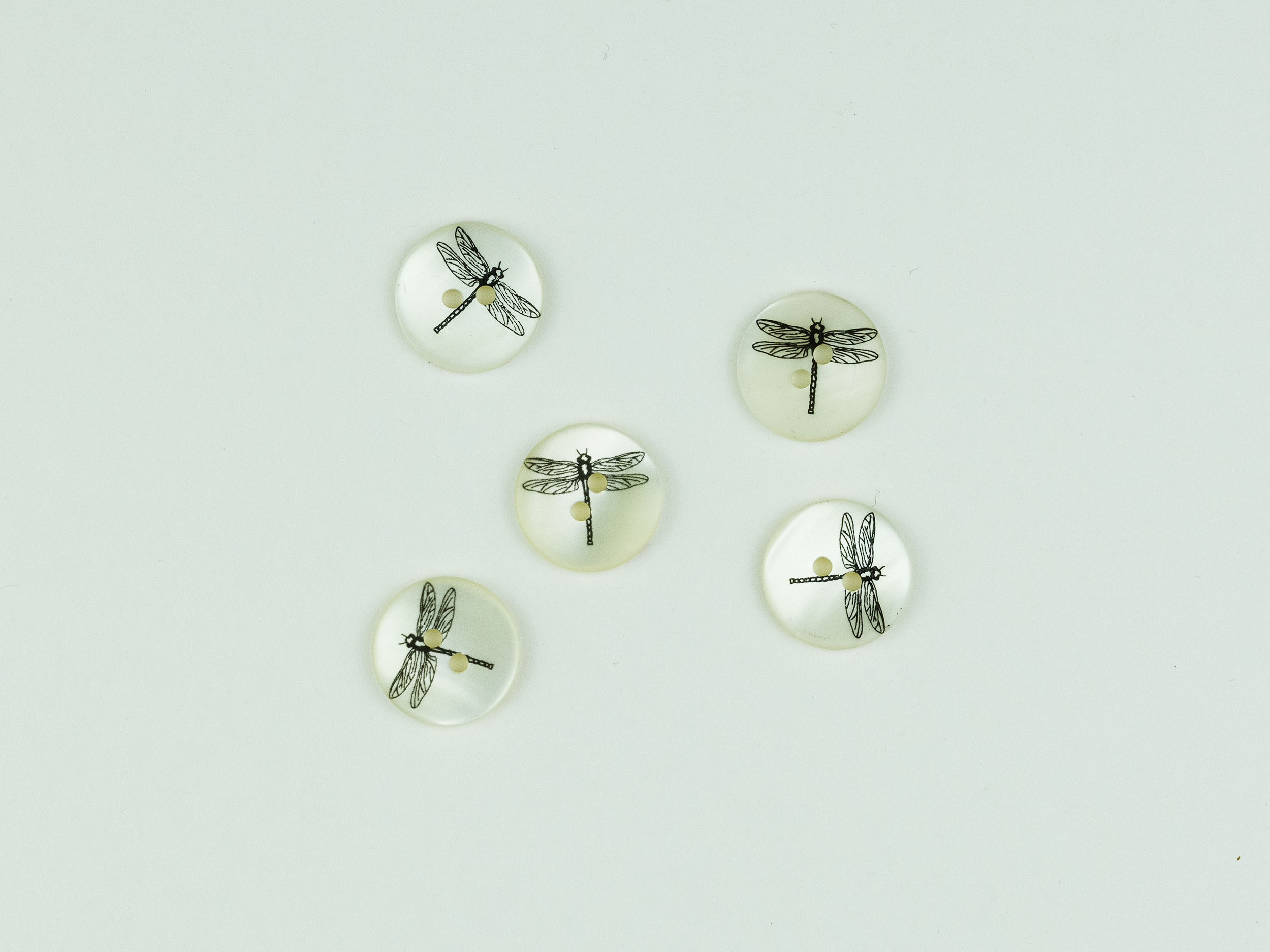 Off white matt shell button with black dragonfly 18mm